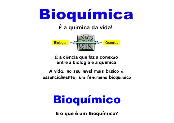 Folder Bioquímica